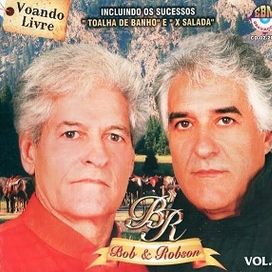 Vol. 8 - 2010 • Álbum
