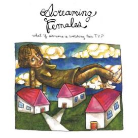 What If Someone Is Watching Their TV? - 2007 • Álbum