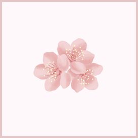 Sweet Boi  - 2018 • Single/EP