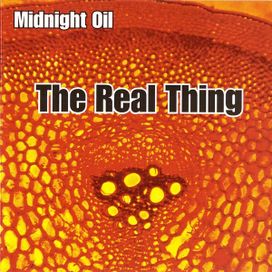 The Real Thing - 2000 • Álbum