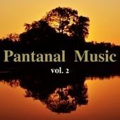 Pantanal Music (vol.2) - 2015 • Álbum