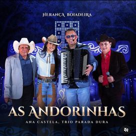 As Andorinhas (Ao Vivo) (part. Ana Castela) - 2024 • Single/EP