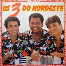 Festa de 15 Anos - 1987 • Álbum