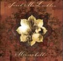 Mirrorball - 1999 • Álbum