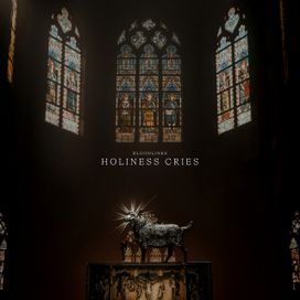 Holiness Cries - Bloodlines