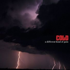 Different Kind of Pain - 2005 • Álbum