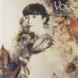 Voice Of Mine - 1990 • Álbum