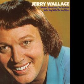 i Wonder Whose Baby (You Are Now) / Make Hay While The Sun Shines - 1974 • Álbum