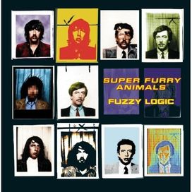 Fuzzy Logic - 1996 • Álbum