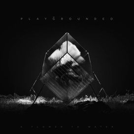 A Flower to Water - 2026 • Álbum