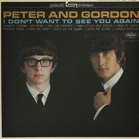 I Don't Want To See You Again - 1964 • Álbum