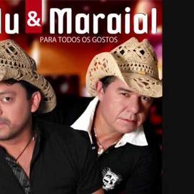 Para Todos Os Gostos - 2010 • Álbum