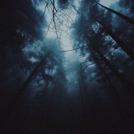 i'm so scared - 2023 • Single/EP