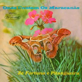 Onde Cantam Os Maracanãs - 1956 • Álbum