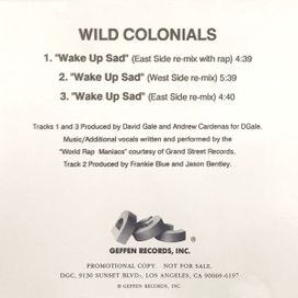Wake Up Sad (Remixes) - 1996 • Sencillo/EP