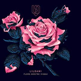Flors Mentre Visqui - 2019 • Álbum