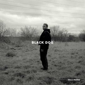 Black Dog - 2020 • Single/EP