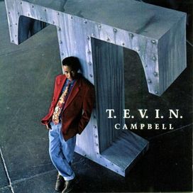 T.E.V.I.N - 1991 • Álbum