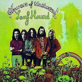 Growers Of Mushroom - 1970 • Álbum