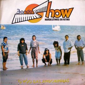 O Voo das Andorinhas - 1993 • Álbum