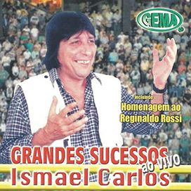 Grandes Sucessos Ao Vivo - 2001 • Álbum