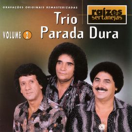 Raízes Sertanejas Vol.2 - 1999 • Coletânea