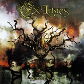 Amygdala - 2008 • Álbum