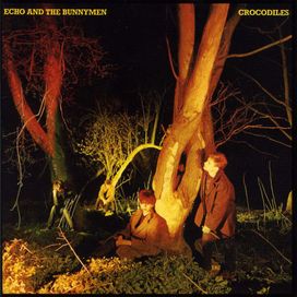 Crocodiles  - 1980 • Álbum