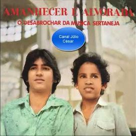 O Desabrochar Da Música Sertaneja - 1984 • Álbum
