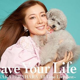 Save Your Life - Ayaka Hirahara All Time Live Best - 2021 • Recopilación