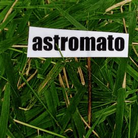 Astromato - 1999 • Álbum