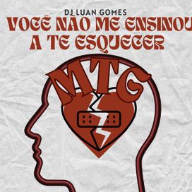 DJ Luan Gomes -Você Não Me Ensinou A Te Esquecer  - 2024 • Single/EP