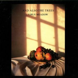 Virus Meadow - 1986 • Álbum