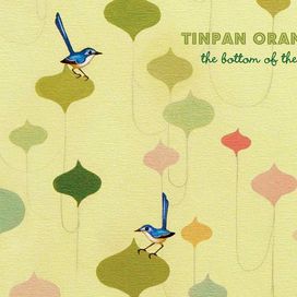 The Bottom Of The Lake - Tinpan Orange