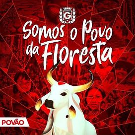 Somos o Povo da Floresta - 2020 • Álbum