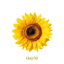 The Gavy NJ: II - 2026 • Sencillo/EP