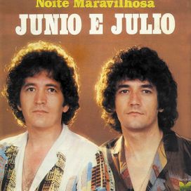 Noite Maravilhosa - 1982 • Álbum