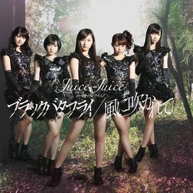 ブラックバタフライ/風に吹かれて - 2014 • Álbum