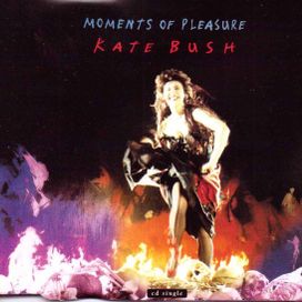 Moments Of Pleasure - 1993 • Single/EP