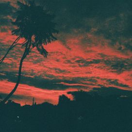 Aliso - 2018 • Álbum