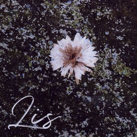 Lis - Path To Nihil