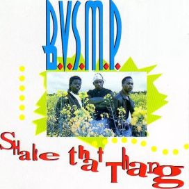 Shake That Thang - 1993 • Álbum