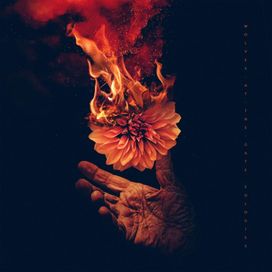 Eulogies - 2022 • Álbum