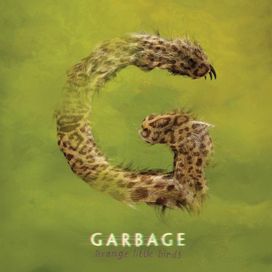Strange Little Birds - 2016 • Álbum