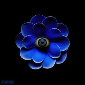 Somnia - 2023 • Single/EP