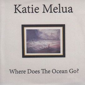 Where Does The Ocean Go? - 2013 • Single/EP