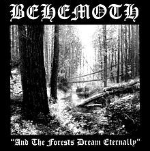 And The Forests Dream Eternally - 1995 • Single/EP