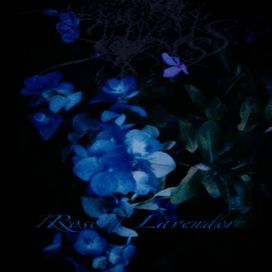 Rose / Lavender - 2016 • Sencillo/EP