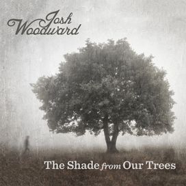 The Shade From Our Trees - 2019 • Álbum