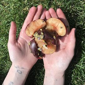 Fruit - 2019 • Single/EP